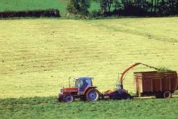 El texto está disponible en la página web del ministerio 