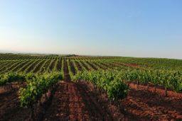 Tras ordenar y puntuar las solicitudes presentadas, 