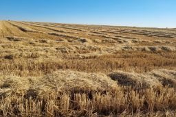 El FEGA publica el listado provisional de beneficiarios 