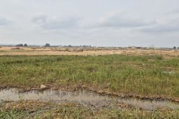 Hoy, en la página web del FEGA