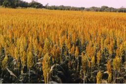 HOY, EN EL CONSEJO DE MINISTROS