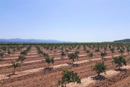 HOY, EN EL CONSEJO DE MINISTROS  