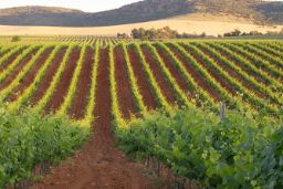 Publicado hoy en el Diario Oficial de la Unión Europea