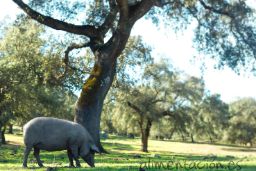 El convenio se ha publicado en el Boletín Oficial del Estado
