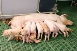 La orden se ha publicado hoy en el BOE