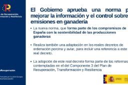 Hoy, en el Consejo de Ministros