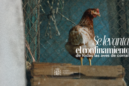 Mediante orden ministerial publicada hoy en el BOE 