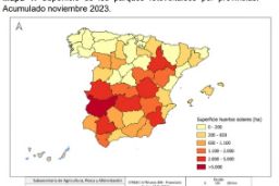 Según el documento “Extensión de los parques fotovoltaicos en España”