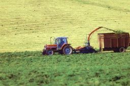 Publicado el número 36 de la serie Análisis y Prospectiva– AgrInfo 