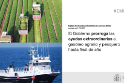 Hoy, en Consejo de Ministros 