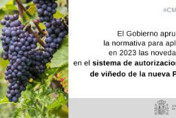 HOY, EN EL CONSEJO DE MINISTROS