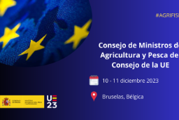 En Bruselas, el domingo, día 10, y el lunes 11 de diciembre