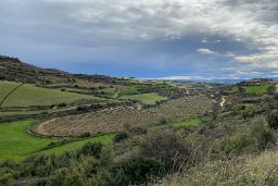 Con fondos del Plan de Recuperación, Transformación y Resiliencia 