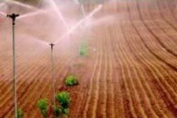 CONSEJO DE MINISTROS