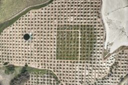 A través de la empresa pública Seiasa