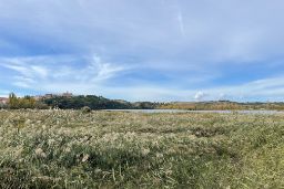 A través de la empresa pública instrumental Seiasa