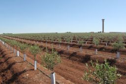 A través de dos proyectos con fondos del Plan de Recuperación