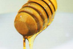 Hoy, en el Consejo de Ministros 