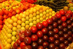 En la sede del Departamento 