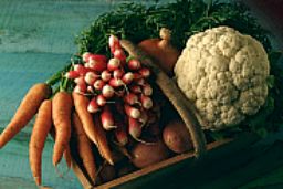 PUBLICADO TRAS MÁS DE CUATRO AÑOS DE INTENSAS NEGOCIACIONES