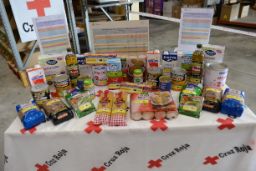 A TRAVÉS DEL FONDO ESPAÑOL DE GARANTÍA AGRARIA (FEGA)