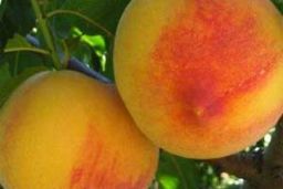 PARA LOGRAR UN EQUILIBRIO ENTRE OFERTA Y DEMANDA 