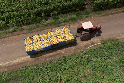 El lunes, día 25, en la Fundació Joan Miró de Barcelona