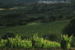 PUBLICADO HOY EN EL BOE