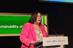 Hoy, en Vitoria-Gasteiz