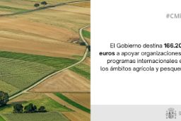 Hoy, en el Consejo de Ministros 