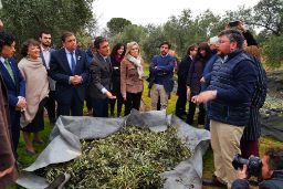 HOY, EN LA VISITA A LA ALMAZARA PAGO LAS MONJAS
