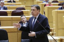 Hoy, en el Pleno del Senado