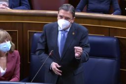 Hoy, en el Congreso de los Diputados 