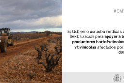 Hoy, en el Consejo de Ministros