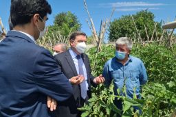 Hoy, en Coín (Málaga) 