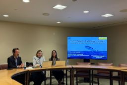 En la sede de la Organización de las Naciones Unidas (Nueva York)