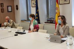 En una reunión mantenida hoy por videoconferencia