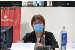 HOY, EN LA REUNIÓN DEL COMITÉ EJECUTIVO DEL CONSEJO CONSULTIVO DE LA FLOTA COMUNITARIA DE LARGA DISTANCIA