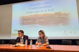 De 18 al 20 de octubre en Toledo