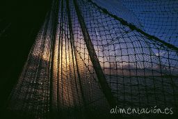 Reunión anual de la Comisión Internacional para la Conservación del Atún Atlánticos (ICCAT)