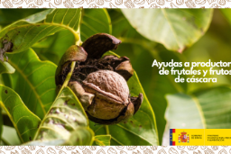 El FEGA publica en su web el listado provisional de agricultores que se podrán beneficiar de la ayuda