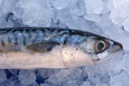 Mediante resoluciones publicadas en el Boletín Oficial del Estado