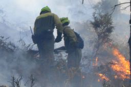 En apoyo de la Comunidad Autónoma de Castilla y León 

