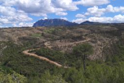 Tras el incendio del pasado 30 de julio