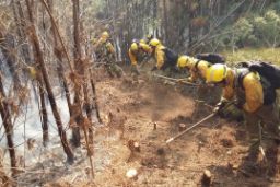 En apoyo de las Comunidades Autónomas de Extremadura y Andalucía 