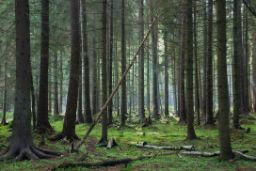 Hoy en la sede del Ministerio 