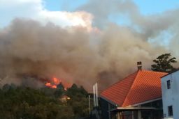 Desde primeras horas de la mañana 