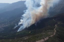 Para apoyar a las Comunidades Autónomas de Castilla y León, Castilla - La Mancha,  Cataluña, Aragón, Madrid, Murcia y Navarra     