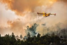 En apoyo de la Comunidad Autónoma de Canarias 