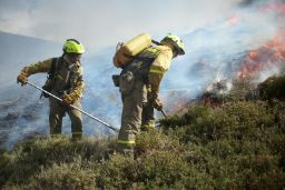 
Tras los incendios del pasado 28 de junio 
